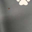 Extra Large Pet Food Mat, 36" x 24", Absorbent Dog Mat for Food and Water, Dog Feeding Mat to Protect Your Floors, Gray