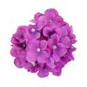 20pcs Silk Hydrangea Flowers for Home Wedding Decoration (Purple) Home Decoration'