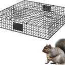 Squirrel Trap (No Bottom Tray) - Ideal for Chipmunks and Squirrels, Metal Construction, Holds up to 25 Squirrels