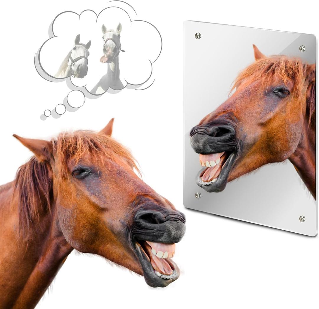 Sukh Acrylic Horse Mirror - Safe Stall Mirrors Sheet Horse Toy Hanging Pony Calming Non Glass Shatterproof Horse Toys for Stable Barn Stall Toy Entertainment (16.92 x 12.99 Inch)