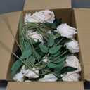50 PCS Champagne Roses Artificial Flowers, Fake Roses with Stem Realistic Silk Rose for DIY Wedding Bouquets Table Centerpieces Arrangements Baby Shower Birthday Home Decor Valentines Day Gift for Her