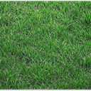 7x5ft Fabric Nature Green Grass Backdrop Spring Realistic Greenery Lawn Photography Background Home Outdoor Party Baby Shower Decorations Photo Banner Props
