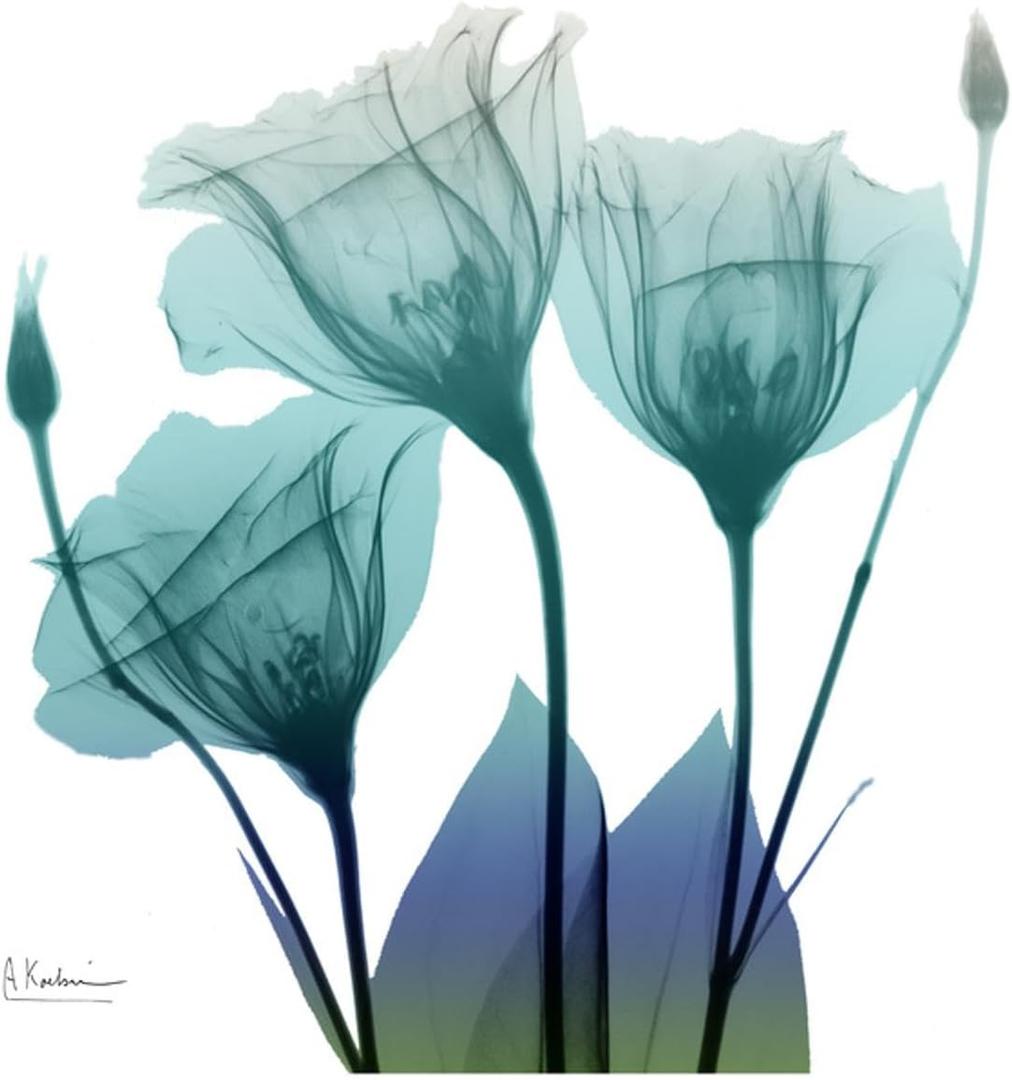 ART.COM Wall Art Print Gentian Buddies by Albert Koetsier, 24" x 24"