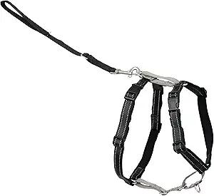 PetSafe 3-in-1 Harness - Comfortable Easy-Walk Dog Chest Harness with Front Leash Attachment to Reduce Pulling, Choking & Gagging - Dog Obedience Gear - Large- Teal