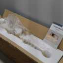 Gold Bathroom Vanity Light 4-Light Bathroom Vanity Light Fixtures Over Mirror with Clear Glass Shade 30.7 inch Wall Sconce Lighting Bath(Exclude E26 Bulb)