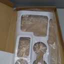 Gear Shift Panel Cover Center Console Cup Holder Trim Compatible with Ford Bronco 2021-2024 Interior Accessories, White (Not for Bronco Sport)