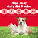 Petkin Pet Wipes for Dogs and Cats, 100 Large Wipes - Removes Dirt & Odor Like Washing Hands - Cleans Ears, Face, Butt, Eye Area - Convenient, Ideal for Home or Travel - 1 Pack of 100 Wipes