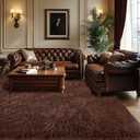 Living Room Area Rugs 8x10: Brown Ultra Fluffy Non-Slip Floor Carpet for Bedroom Living Room Home Office, Soft Shag Rug Home Decor (Brown 8x10 Feet)