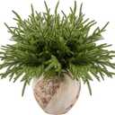 joyhalo 12 Pcs Norfolk Pine Stems, 18" Artificial Christmas Pine Branches Faux Greenery Stem Real Touch Cedar Stems for Vases, Christmas Trees and Outdoor Home Decor