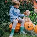 Dog Collar Autumn Pumpkin Print Pet Collar Fall Soft Cute Puppy Collar with Bow Tie Adjustable Metal Buckle Collar Gift for Medium Dogs (Medium (Pack of 1))