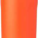 Owala Kids FreeSip Insulated Stainless Steel Water Bottle with Straw for Sports, Travel, and School BPA-Free Sports Water Bottle, 16 oz, Blue Citrus