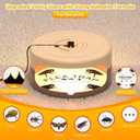 2 Pack Flea Traps for Inside Your Home, Indoor Flea Light, Bed Bug Killer with 8 Sticky Pads & 4 Light Bulb, Odorless Natural Insect Infestation Treatment Trap for Kid Pet