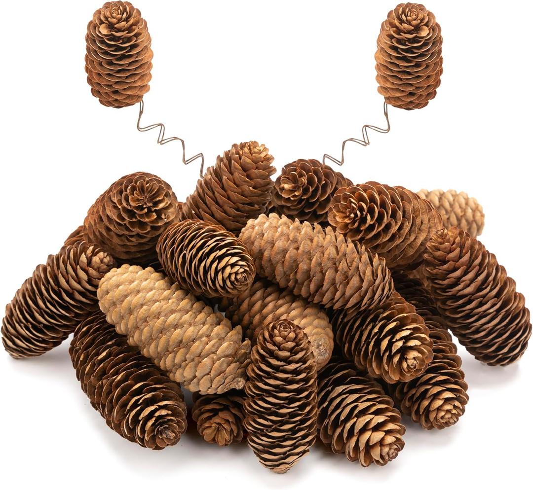 24 Pcs Natural Pine Cone Kit with Brown Iron Wires for DIY, 2.2"-3.5" Big Spruce Pine Cones, Rustic Pinecones Decor for Christmas Tree, Wreaths, Crafts, Fall, Wedding, Xmas Home Decor