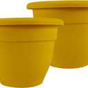 The HC Companies 16 Inch Caribbean Planter Pots with Drainage & Plug, Rolled Rim Plastic Planters for Indoor & Outdoor Plants, 2-Pack Decorative Flower Pots for Garden, Office & Home Decor, Honey