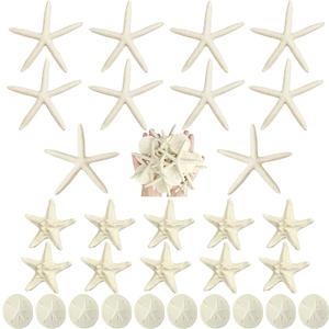 Queekay 30 Pcs Resin Starfish Sand Dollars for Crafts 2-4.7 Inch Fake Seashells Bulk Large White Sand Dollar Ornament for Beach Mermaid Birthday Wedding Christmas Party Decor DIY Craft Supplies