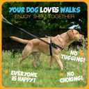 2 Hounds Design Freedom No Pull Dog Harness, Adjustable Harness and Leash Set, Easy Walking & Comfortable Control, Fits Small, Medium & Large Dogs, Solid Colors, Made in USA, 1" MD, Raspberry