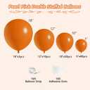 108Pcs Orange Double Stuffed Balloons Different Size, 18/12/10/5 inch Pastel Matte Burnt Orange Balloons Garland Arch kit for Baby Shower Birthday Summer Party Decoration