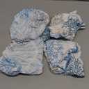 Stretch Dining Chair Seat Covers Set of 4, Removable Washable Chair Covers Seat Slipcovers, Blue Coral Starfish Chair Protector Dust-proof Chair Cover Seat for Kitchen/Office Decor, Textureppa82712