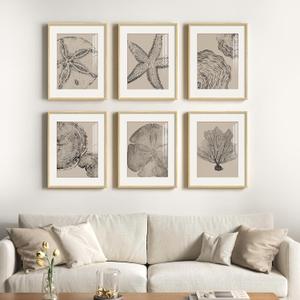 Framed Coastal Wall Art for Living Room, 6 Piece Neutral Black Beige Modern Abstract Prints Artwork, Ocean Coral and Beach Tree Ring Pictures for Bedroom Dining Room Bathroom Wall Decor 11x14 In