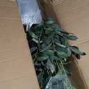 OXLLXO 7.2ft Artificial Olive Tree (85in) with Plastic Nursery Pot Faux Olive Silk Tree, Fruits Fake Plant for Office House Farmhouse Living Room Home Decor (Indoor/Outdoor)