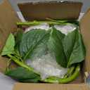 Veryhome White Hydrangea Artificial Flowers - 3Pcs 22.44In Large Faux Hydrangea Flowers, Latex Real Touch Flowers Fake Hydrangeas for Home Decor Wedding Party Centerpieces Floral Arrangements