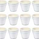 Fun Express DIY Flower Pots Bulk Craft Kit for Kids - 12 White Plastic Paint Plant Pots with Paper Inserts | Educational Toys for Painting Activities Ages 8-12 | Perfect for VBS, School & Home Crafts