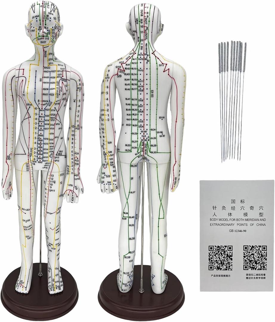 Body Acupuncture Model 20.5" - with English Points, Acupuncture Doll, Meridians Acupuncture Point Model, High Definition Clear Acupoint for Student Practice, Acupuncturists Training (Female Model)