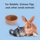 Kaytee Stoneware Ceramic Pet Hamster Bowl, Brown, 4-Inch