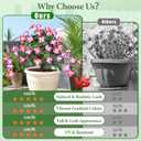 Elyum 2 Pack Artificial Flowers Topiary Ball Trees for Outdoors, 19.7" Lifelike Morning Glory Fake Bushes Plants, UV Resistant Fake Plants Faux Shrubs with Ground Spike for Porch Garden Decor