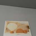 Hot Air Balloon Warm Night Light,Dimmable Touch Lamp for Bedroom,Portable Table Bedside Lamp,hot air Balloon Lantern Decor,1200 mAh Battery,Portable Camping Lamp for Outdoor,Bedroom,Party Decor