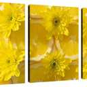 Lemon and Chrysanthemum Canvas Wall Art Modern Wall Art Yellow Pictures on Canvas Wall Art for Home Office Decorations Living Room Bedroom and Kitchen Decor 3 Pcs Framed Canvas Prints 12X16inches