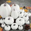 Ywlake 16 pcs Pumpkin Fall Decorations, Decorative Large Small Outdoor White Foam Plastic Fake Faux Artificial Pumpkins for Halloween Autumn Harvest Festival Home Table Decor