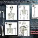 Halloween Skeleton, Realistic Life Size Skeleton with Movable Joints for Halloween Party Haunted House Indoor Outdoor Decoration (5.9ft-1P)