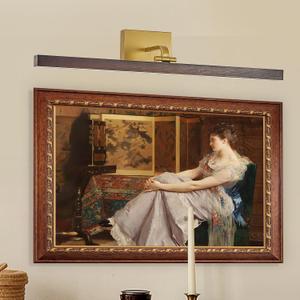 Wood Picture Lights for Wall, Gold Hardwired 27.5" Long LED Wall Picture Vintage Artwork Paintings Display Lighting Wall Lamp Bathroom Vanity Light Dimmable 5CCT