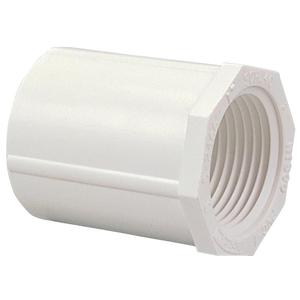 NIBCO C435-007 3/4 FE ADAPTER, White, 1 Count (Pack of 1) (0.75 Inch)