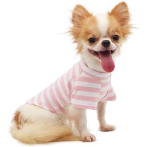 LOPHIPETS 100% Breathable Cotton Striped Dog Tee Shirt T-Shirt for Dogs Chihuahua Puppy Clothes -Pink and White Strips/M (Medium for 4.5-6.5 lbs)