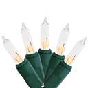 MULTI-SPARKING Christmas Lights 5Ft 10 Counts Classic Clear Incandescent Mini String Lights Green Wire Warm White for Indoor and Outdoor Christmas Decorations, Non-Connectable