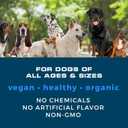 Probiotics for Dogs | Soft Chews with Digestive Enzymes, Pumpkin & Prebiotics | Supports Gut Health, Immunity, Stool Quality & Nutrient Absorption | Peanut Flavor, 90 Count