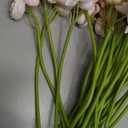 5 Bouquets Pink Ranunculus Artificial Flowers, 30 Pcs Silk Mini Faux Ranunculus Bouquet for Wedding, Bridal Shower, Centerpieces, and DIY Decorations