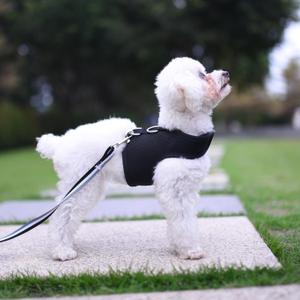 Small Dog Harness and Leash Set Small Pet Harness for Summer, Adjustable Soft Padded Dog Vest for Poodle, Pomeranian, Chihuahua, Minlature Pinscher Under 13LBS, Solid Black Mesh Fabric