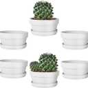 vensovo 5.7 Inch White Terracotta Shallow Succulent Pots - 6 Pack Terra Cotta Clay Pot with Saucer, Cacuts Indoor and Outdoor Planters with Drainage Hole