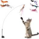 Cat Wand Toys, Interactive Bird Simulation Cat Toy for Indoor Cats,Teaser Wand Self-Holding Suction Cups Base with 5pcs Detachable Replacements Feathers Toys