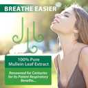 2 Pack Mullein Drops for Lungs, Natural Mullein Herbal Supplements, Mullein Leaf Extract for Lung Cleanse and Respiratory Support, 2.02 fl oz