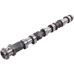 NewYall 3.6L Left Intake Camshaft for Chrysler 200 300 Town & Country Avenger Challenger Charger Grand Caravan Journey Durango Cherokee Grand Cherokee Wrangler Ram 1500 2500 Base Promaster