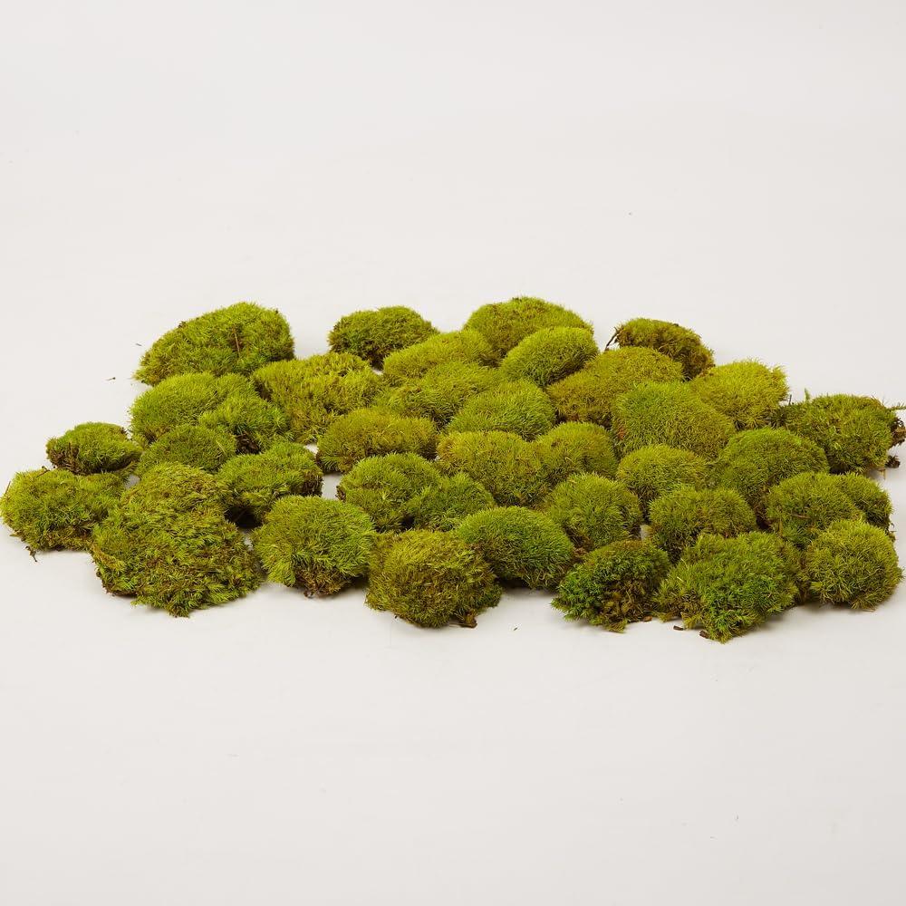 Preserved Pole Moss Pillow Bun Cushion Natural Green Decorative Real Natural Green DIY Kit Gardenning Art Wall Decor Florist Decor Easter Table Decor Wedding (1.5 sq.ft, Green-D)