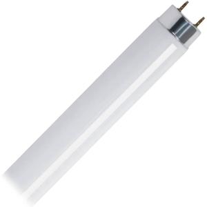 Feit Electric 90470 - F30T8/CW 3 Foot Plus Straight T8 Fluorescent Tube Light Bulb