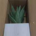 Hollyone Large Artificial Agave Plants 11.8 Fake Succulents Potted Faux Aloe Vera Plant in White Pot Succulent Agave Plants for Desk Modern Office Living Room Table Shelf Home Indoor Outdoor Decor (Light Green)