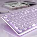 SEUNKWANG EWEADN GX710S Backlit Computer Keyboards, Wired USB Keyboard with White Backlit, Metal Panel, Plug and Play, Pudding Keycaps Full Size Quite Computer Keyboard for Win/PC/Laptop-Purple