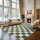 Washable Rug 8x10 Checkered Rug, Green and White Area Rug, Boho Large Rugs for Living Room, Low Pile Lightweight Indoor Carpet with Non-Slip Backing for Bedroom Classroom Playroom Kids