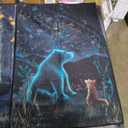 Kitchen Towels 24x16in 2pc